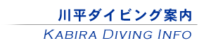 川平ダイビング案内